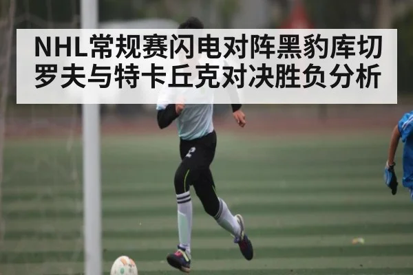NHL常规赛闪电对阵黑豹库切罗夫与特卡丘克对决胜负分析 - kaiyun