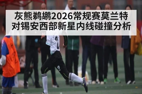 灰熊鹈鹕2026常规赛莫兰特对锡安西部新星内线碰撞分析